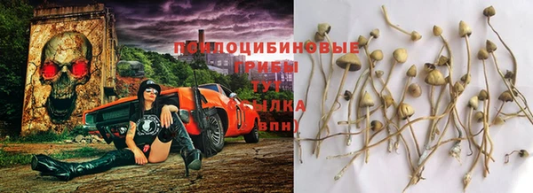 mdpv Михайлов