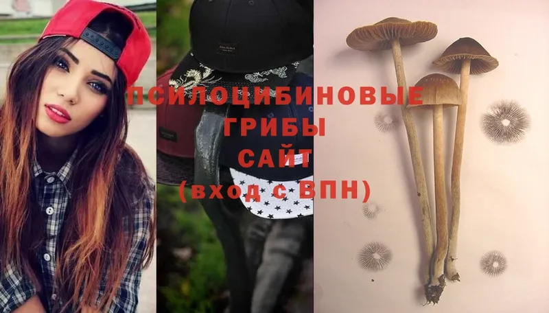 Псилоцибиновые грибы Psilocybe Трубчевск