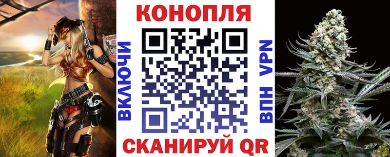 где можно купить наркотик  МЕГА маркетплейс  Бошки Шишки THC 21%  Трубчевск 